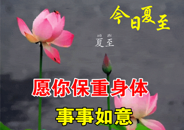 6月21日夏至最漂亮早上好动态表情图片大全,早晨好动图美图大全_问候