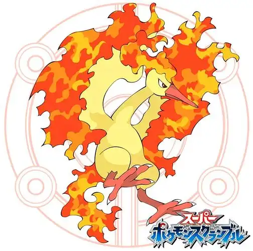 谁有口袋妖怪里面的火焰鸟高清图片.清晰度要非常好.