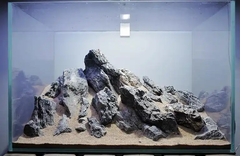 60缸青龙石造景