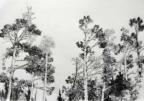 汤宽义  速写img_6322.jpg