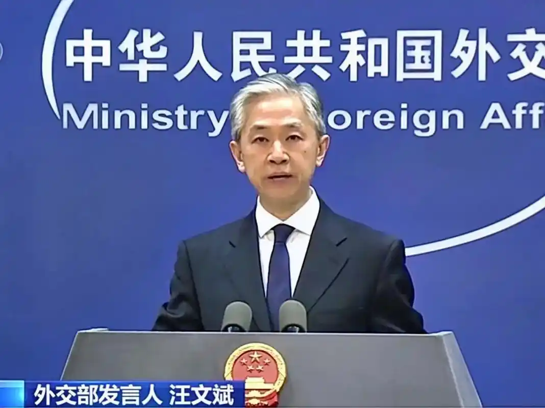 "不用看日月,你就是星辰."#汪文斌 #外交发言人 #外交男 - 抖音