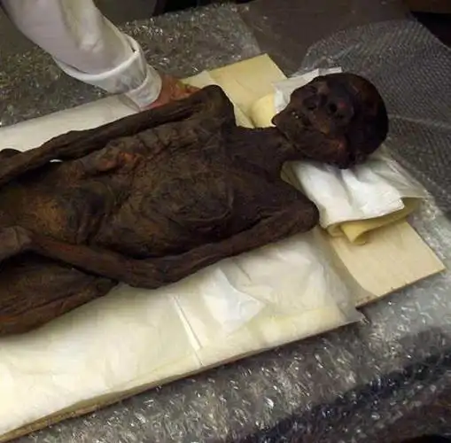 木乃伊是现实生活中有形的鬼(组图)