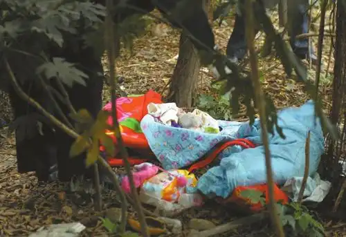 成都一刚出生女婴被道路弃绿化带 受冻身亡