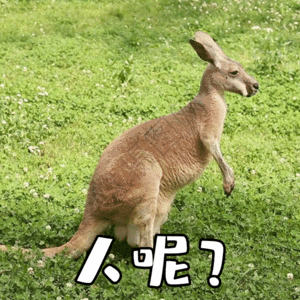 人呢聊天表情包gif图片素材