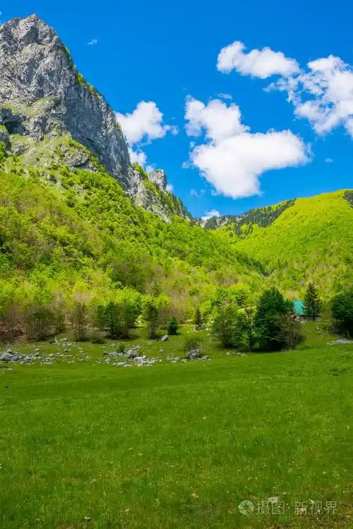 4000*6000px发票合同问题/树木高山草地山