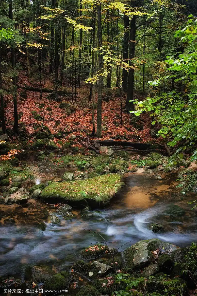秋天山林中的小溪