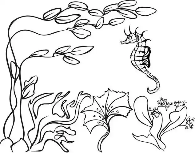 素描,水下,海草,海马_高清图片_全景视觉