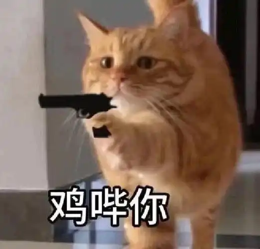 鸡哔你表情包来啦