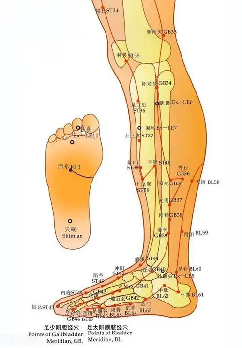 磨牙说梦话常常腿抽筋,原来是肝不好,如何通过养肝来促进睡眠?