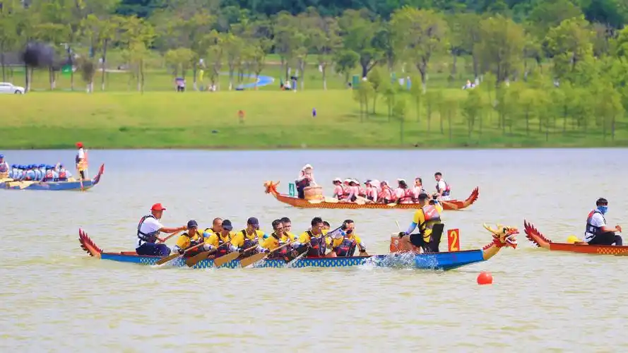 龙舟比赛现场.主办方供图