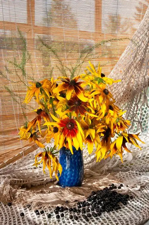 大花萱草的静物花束