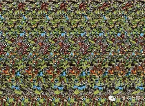 【动物】 三维立体图,看看图中隐藏了什么东西 #89079-三维立体图