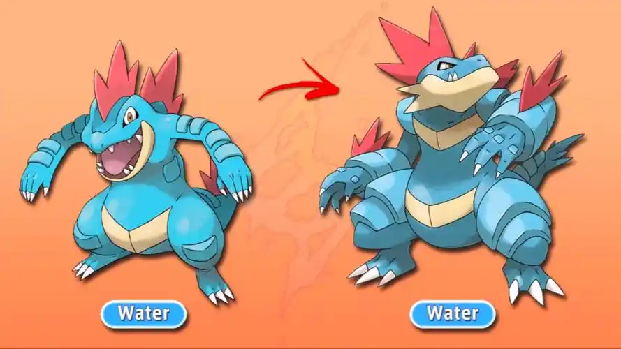 神奇宝贝:当宝可梦超级进化后,君主蛇羽化成龙,火暴兽头上冒烟