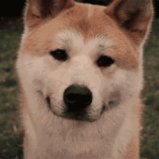 赛思年度分享会