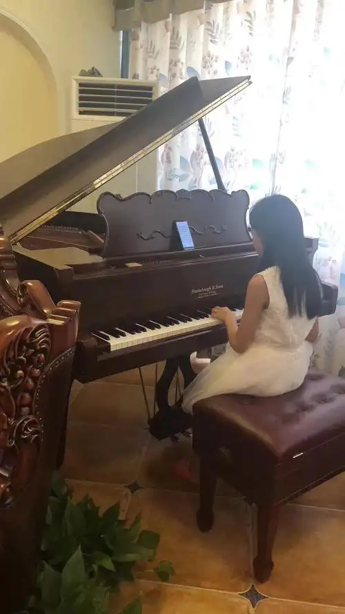 他们的豪宅中为何都有一台舒尔兹-斯坦伯格钢琴?