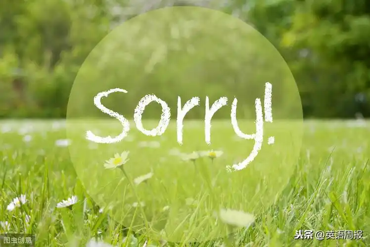 别总用"sorry"表示歉意,这些英语表达更有效
