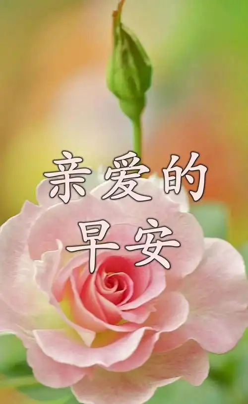 清晨暖心治愈的早上好问候语早安正能量唯美哲理语录