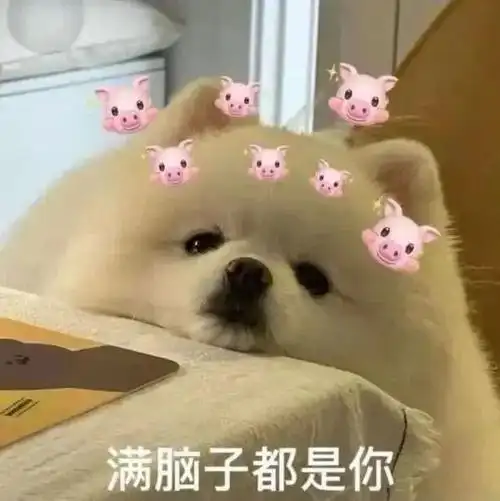 满脑子都是你_满脑子表情