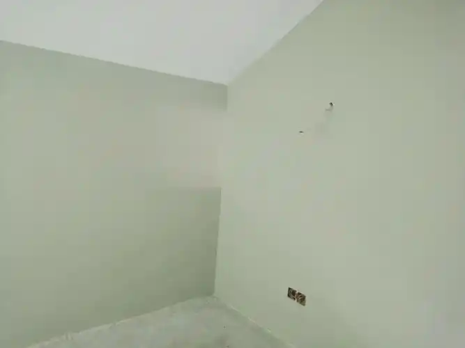 阳光下的多乐士豆蔻青