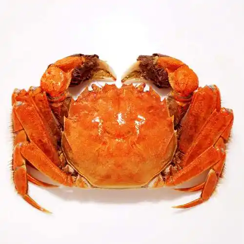 为什么阳澄湖大闸蟹卖的那么贵