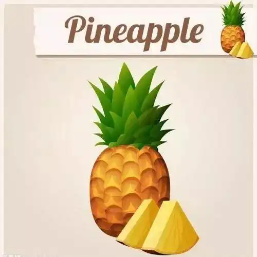 菠萝的时候,觉得它长得很像松果(pine cone),并且在过去英语apple泛指