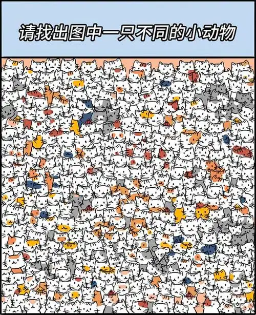 三分钟内,请找出图中一只不同的小动物.