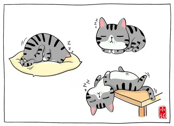 猫咪冷知识|动漫|短篇/格漫|妖漫画_原创作品-站酷zcool