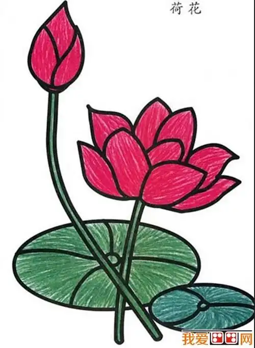 儿童画水彩画作品:漂亮的荷花