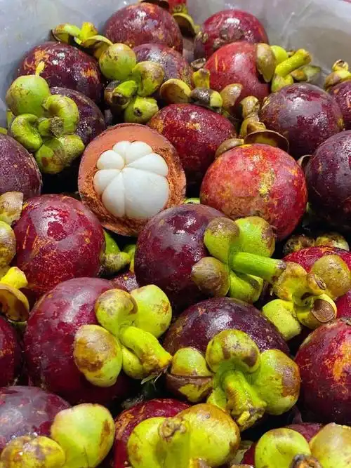 水果界皇后印尼4a到5a级山竹果肉软嫩黄金酸甜比超过瘾新鲜度十足