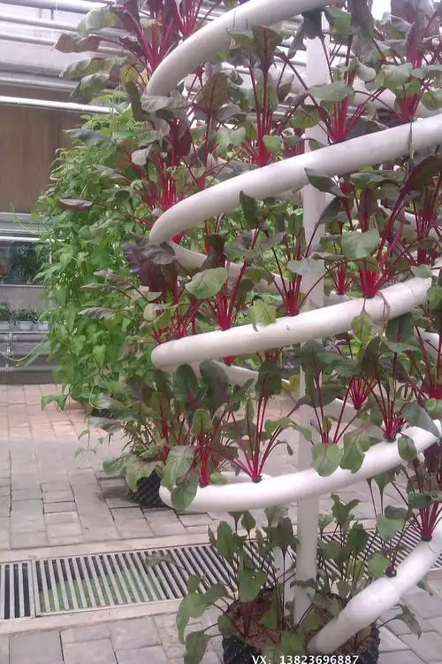 【螺旋管道水培】无土栽培架 pvc管 农博会新品 立体水培