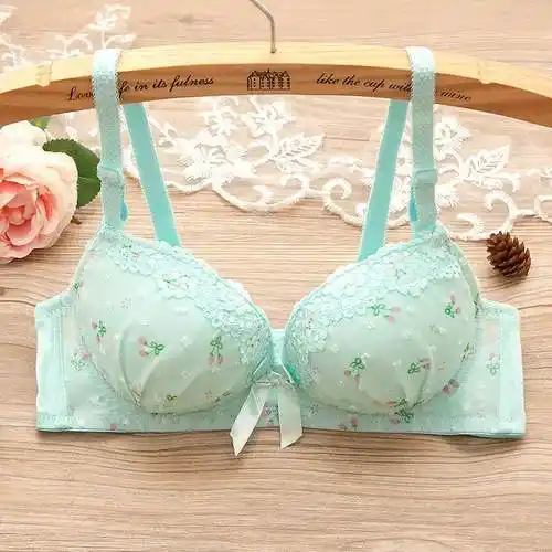 汽款元高中女生大学生胸罩19文岁少女女孩内衣20乳罩18无钢圈胸—文胸