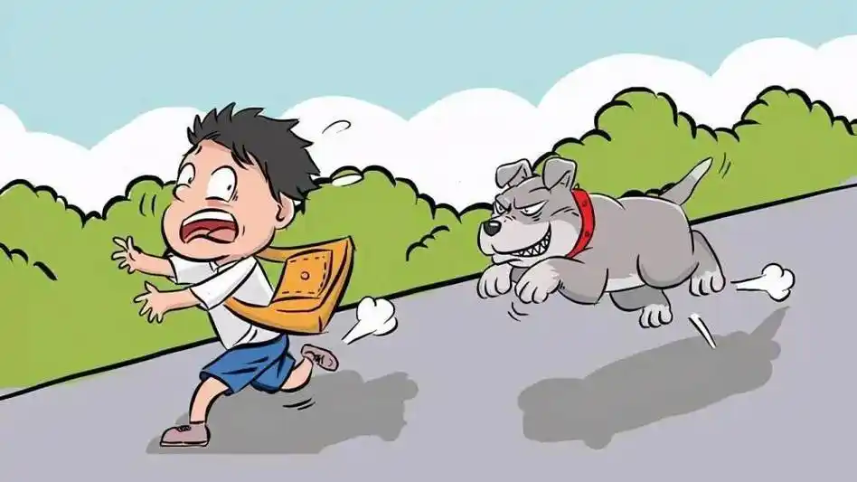 布克·私议(43)——为啥夏天更容易发生狗咬人?