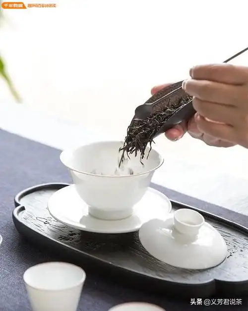 一个人喝茶,适合用盖碗还是紫砂壶,说说你的理由?(图3)