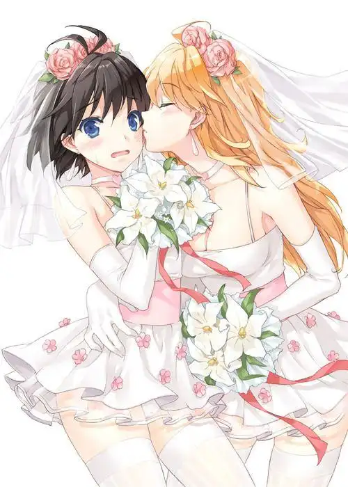 二次元的婚纱照,不一样的美_巴黎红磨坊吧_百度贴吧