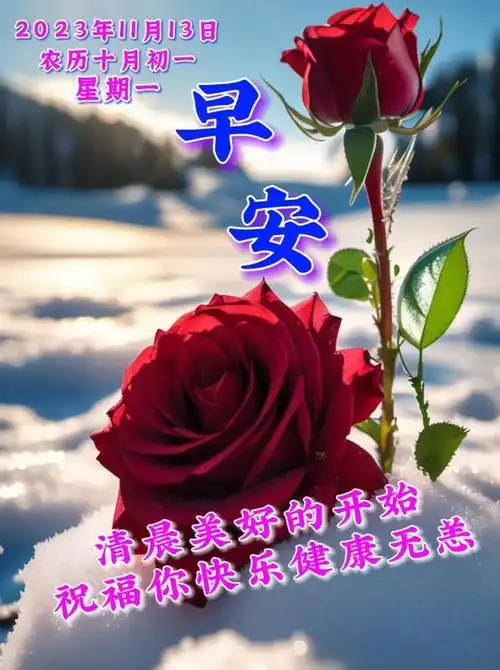 11月13日周三早上好|最新版早安祝福语表情图片大全问候语段句子|安宁
