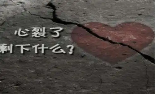 心碎了公募赚钱而我