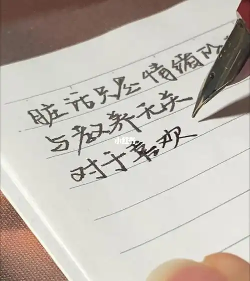 解压手写钢笔字day23今日份三观不正句子