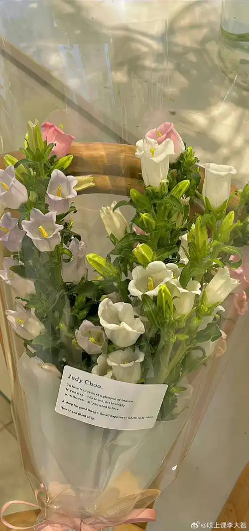 壁纸 花 花束 鲜花 桌面 690_1470 竖版 竖屏 手机