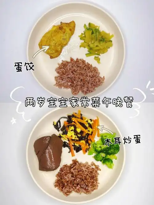两岁宝宝家常菜午晚餐丨全家都爱吃的蛋饺