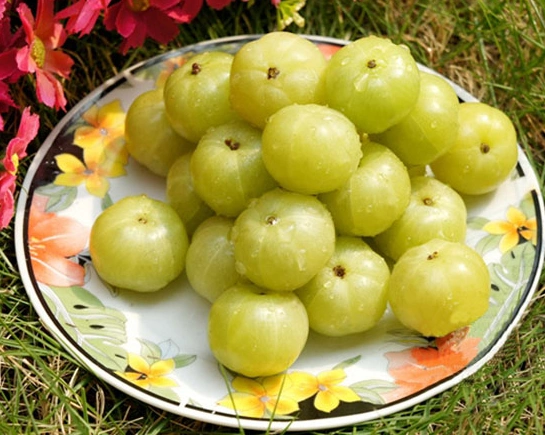 这个果子可是出了名的"王者",却没有人认识这个果子?