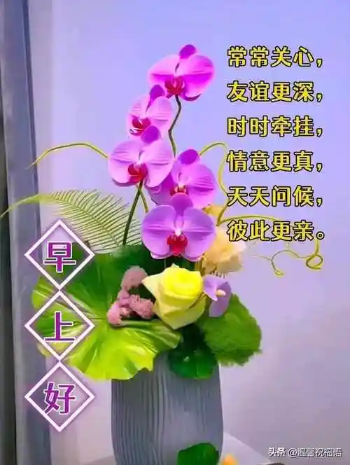 11月24日-最新早上好漂亮图片祝福