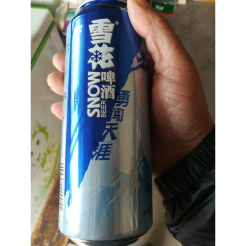雪花啤酒勇闯天涯500ml12听整箱装