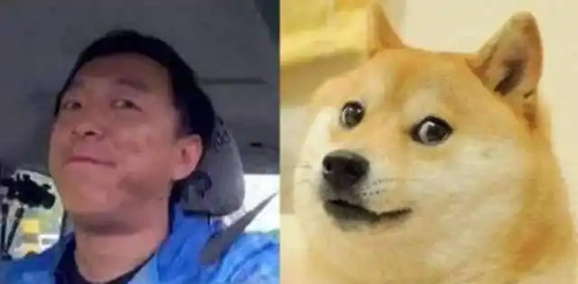 原创盘点和明星撞脸的狗子柴犬像影帝黄渤牛头梗你猜到像谁了吗