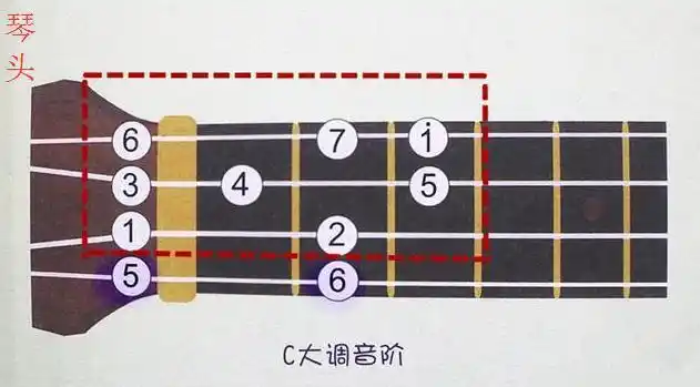 如何科学记忆尤克里里指板音阶尤克里里音阶乐理看完全懂了