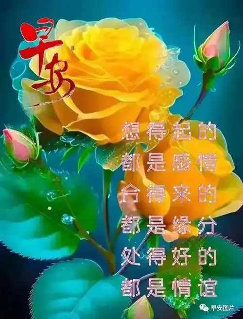 10月9日早上好最新版早安祝福语表情图片大全问候语