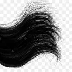 乌黑亮丽的头发图片-乌黑亮丽的头发图片素材免费下载-千库网