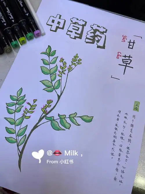 中草药手抄报