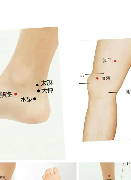 位于人体的大腿内侧,当 a target="_blank" href="/item/血海穴