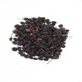 刺五加子 大统 黑龙江