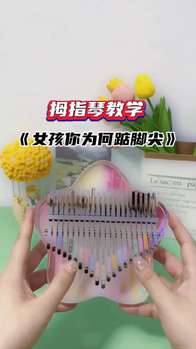 拇指琴速学《女孩你为何踮起脚尖》